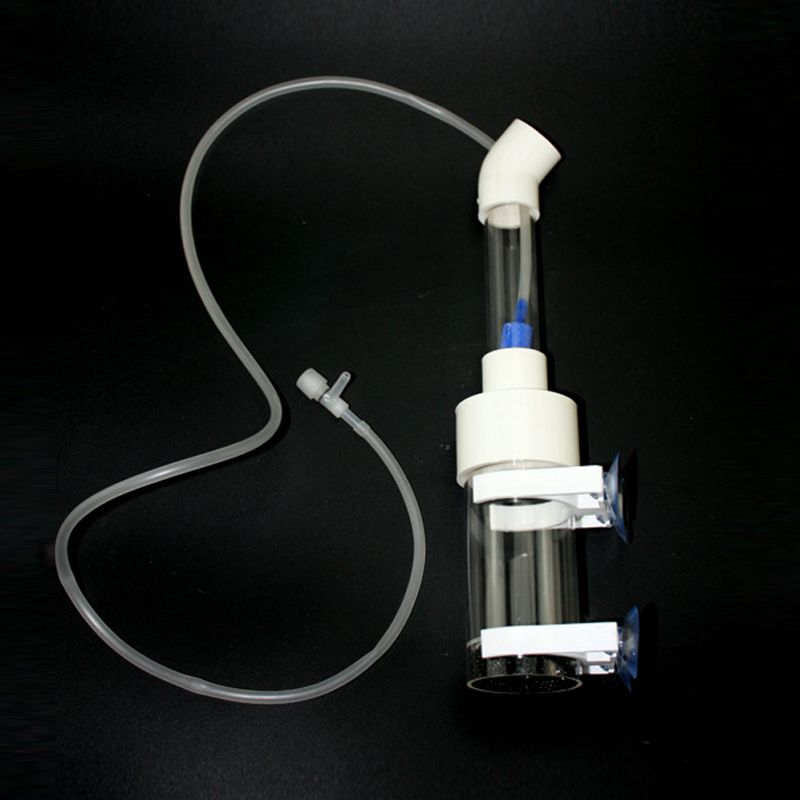 Aquarium Cichliden Tumbler Vis - Aquarium Fishes recensie en prijs