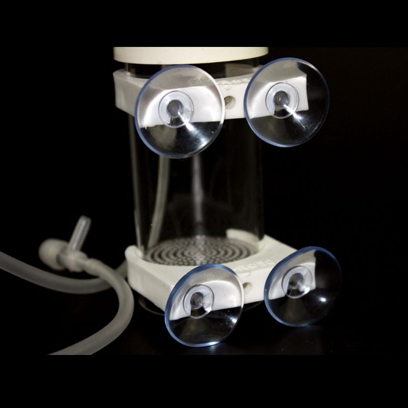 Aquarium Cichliden Tumbler Vis - Aquarium Fishes recensie en prijs