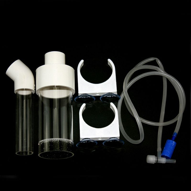 Aquarium Cichliden Tumbler Vis - Aquarium Fishes recensie en prijs