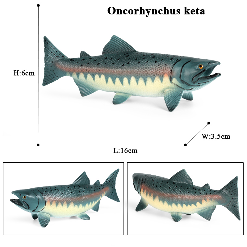 Oenux Zee Leven Dieren Model A - Fish In Aquarium Picture recensie en prijs