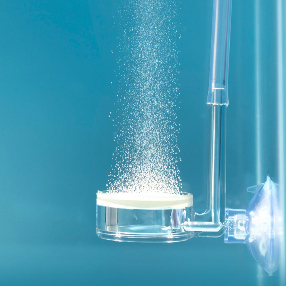 1PC diffuser voor aquariumplan - Co2 Diffuser Planted recensie en prijs