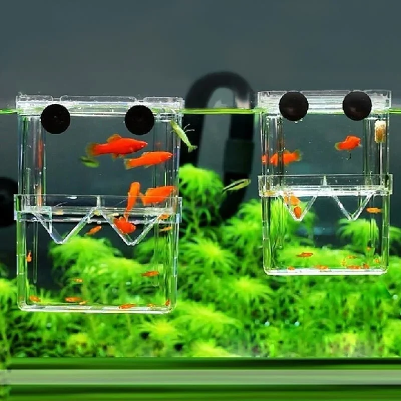 Multifunctioneel visaquarium,  - Aquarium Fish Jar recensie en prijs