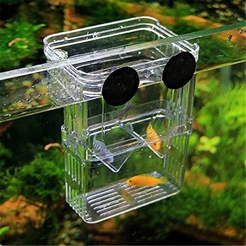 Multifunctioneel visaquarium,  - Aquarium Fish Jar recensie en prijs
