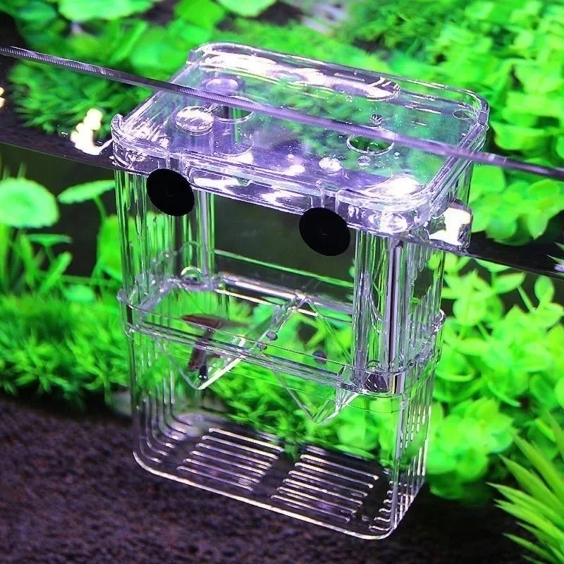 Multifunctioneel visaquarium,  - Aquarium Fish Jar recensie en prijs