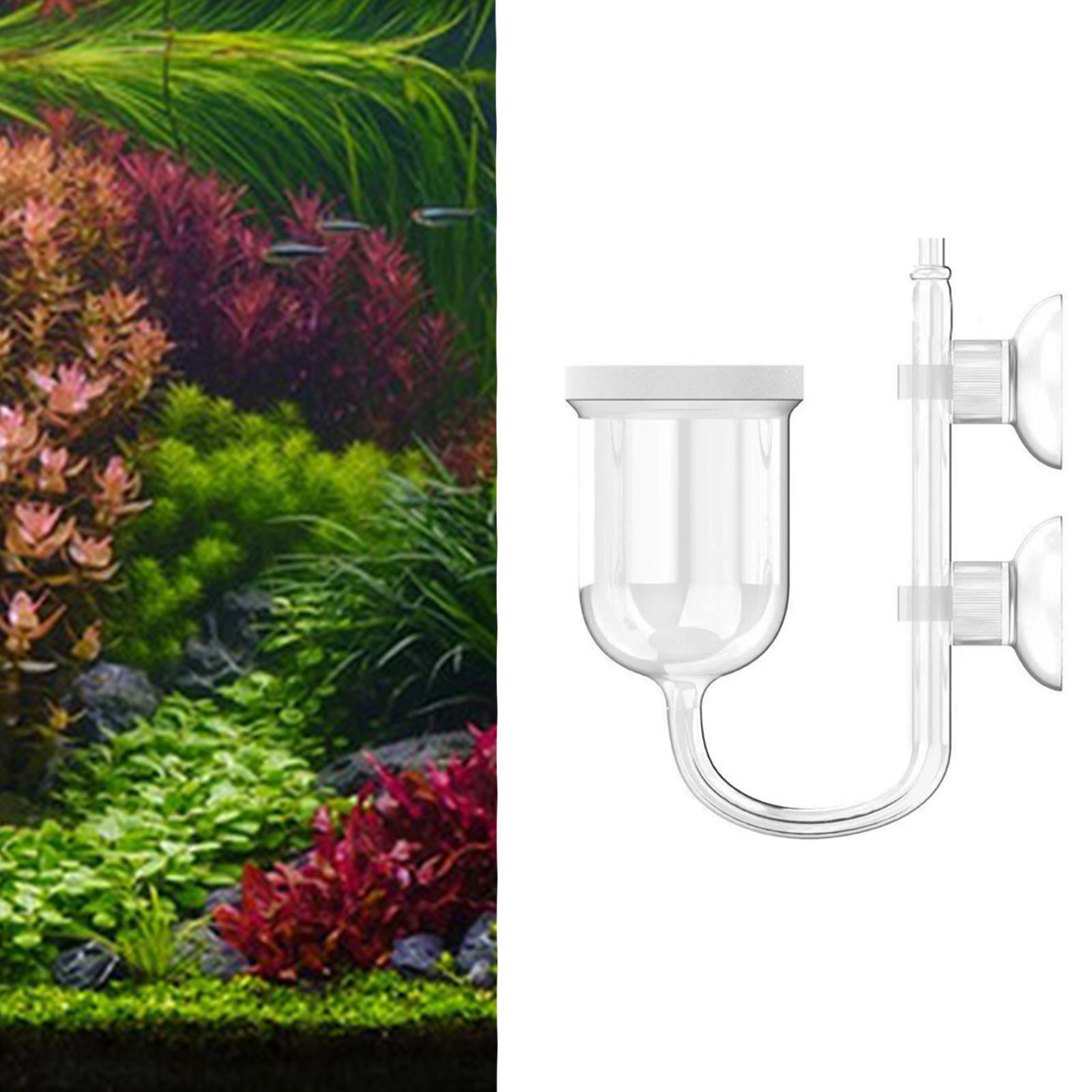 Glazen CO2-diffusor, transpara - Co2 Diffuser Planted recensie en prijs