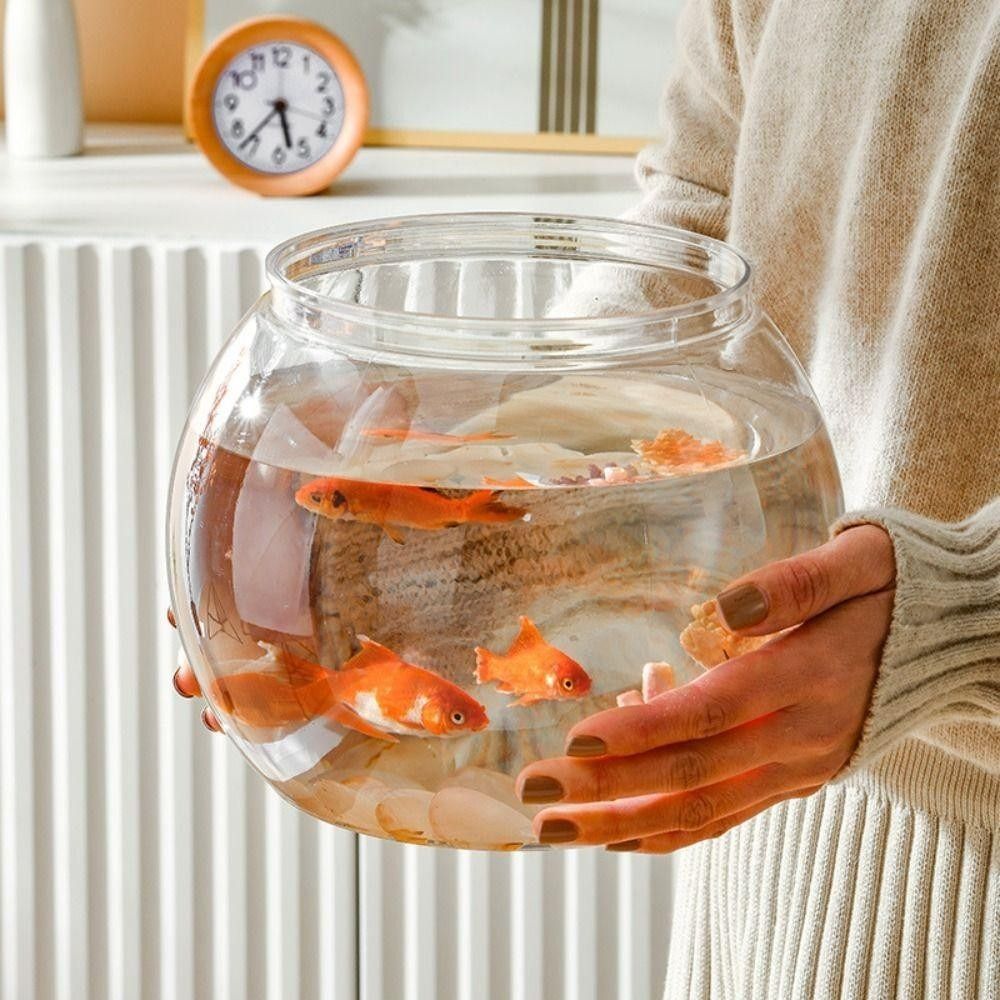 Nieuwe transparante aquarium r - Aquarium Fish Jar recensie en prijs