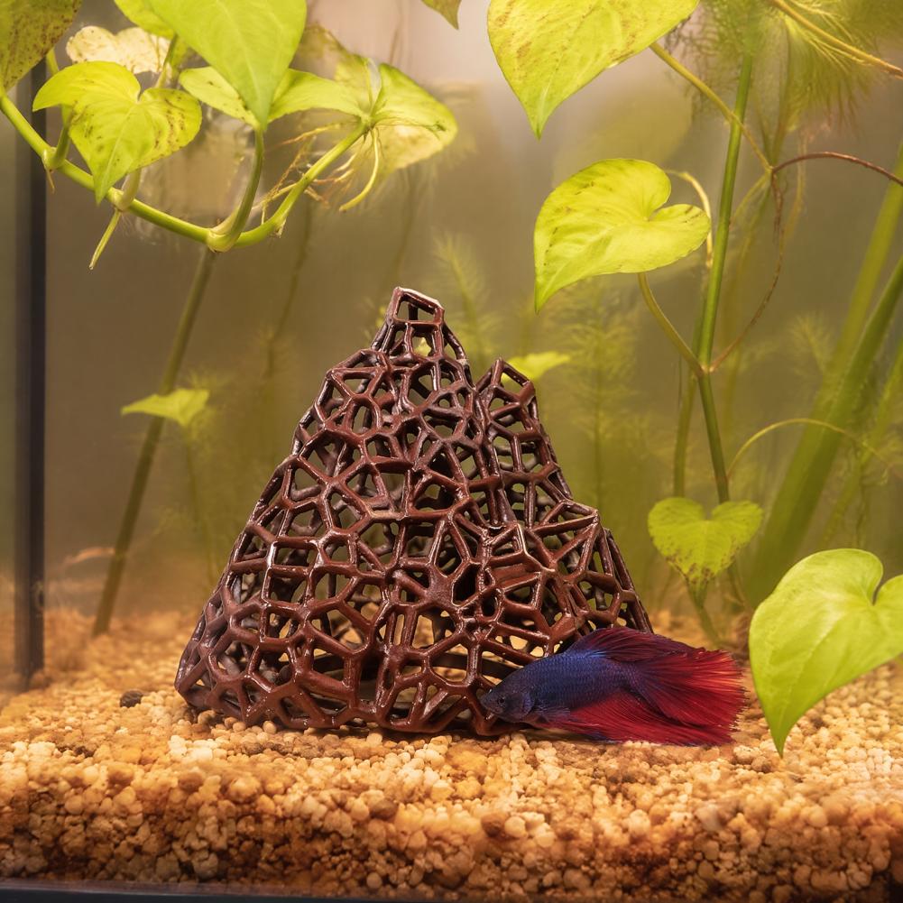 Aquatische landschapsornament  - Fish In Aquarium Picture recensie en prijs