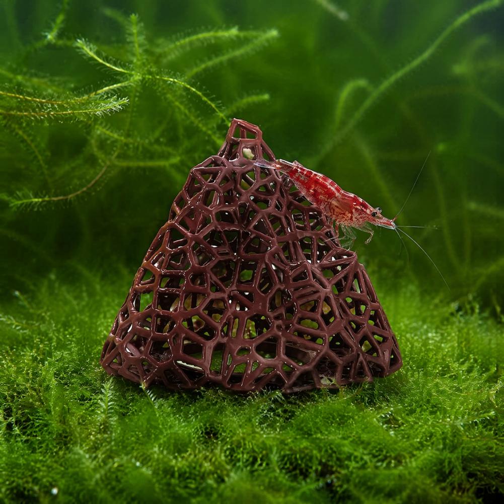 Aquatische landschapsornament  - Fish In Aquarium Picture recensie en prijs