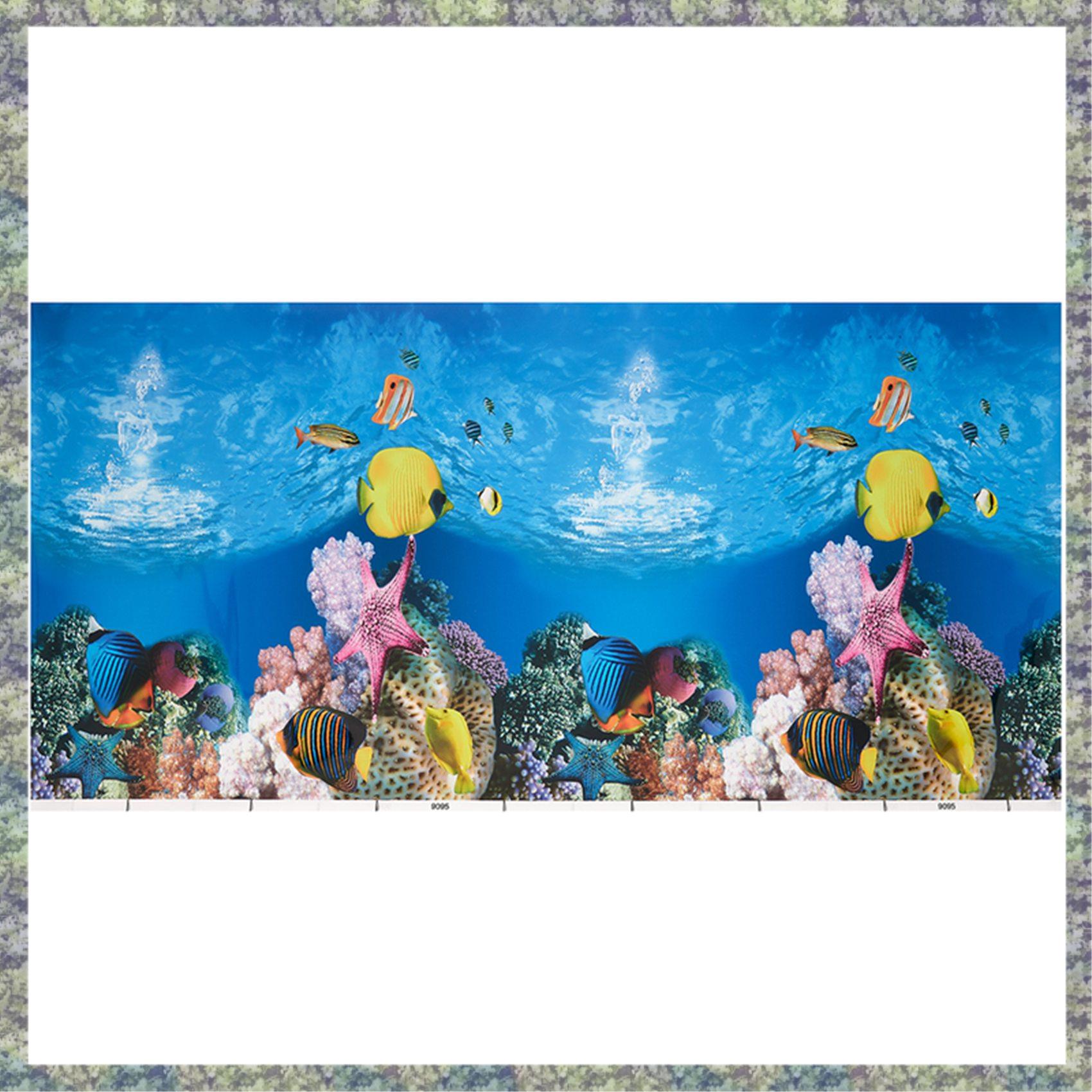 WON Aquarium Achtergrond Papie - Fish In Aquarium Picture recensie en prijs