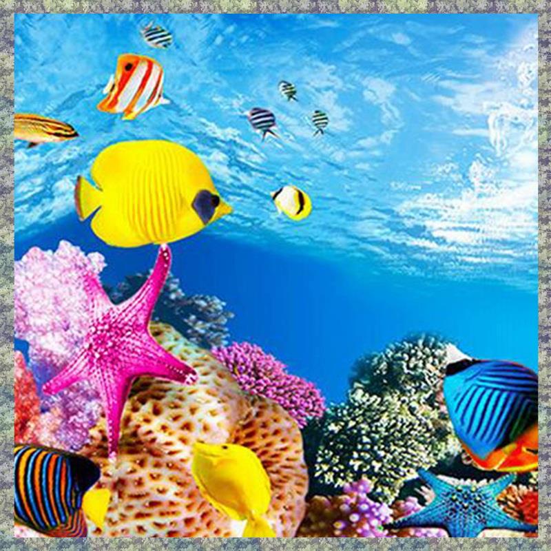 WON Aquarium Achtergrond Papie - Fish In Aquarium Picture recensie en prijs