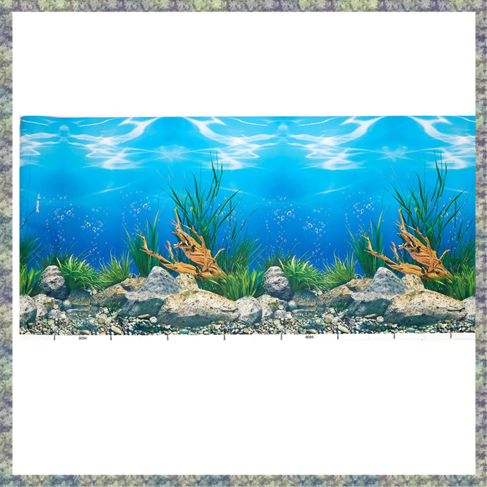 WON Aquarium Achtergrond Papie - Fish In Aquarium Picture recensie en prijs