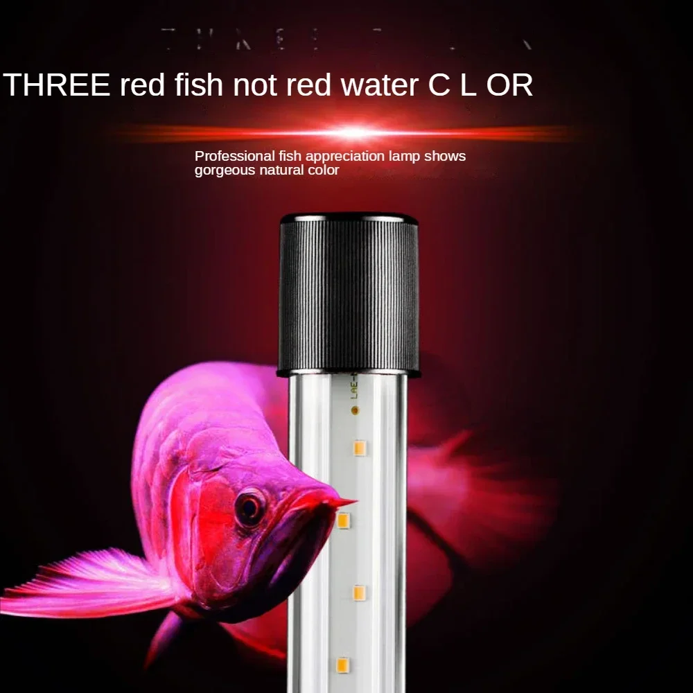 Arowana-lamp, LED-glazen aquar - Aquarium Fishland recensie en prijs